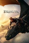 How to Train Your Dragon